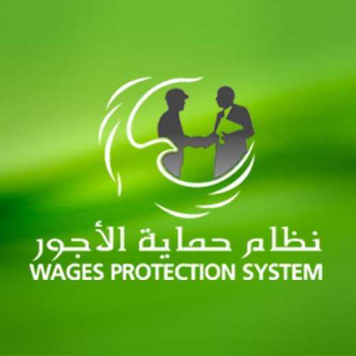 What is the UAEs WPS Wage Protection System